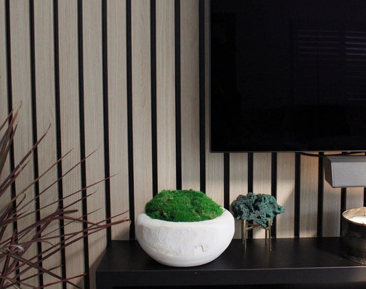 Modern Moss Decor Natural Wood Bowl Organic Home Accent Preserved Moss Design Rustic Farmhouse Style Wall Art Living Room Decoration Whitewashed Bowl Construction Premium Quality Piece Wedding Gift Present Table Centerpiece Natural Home