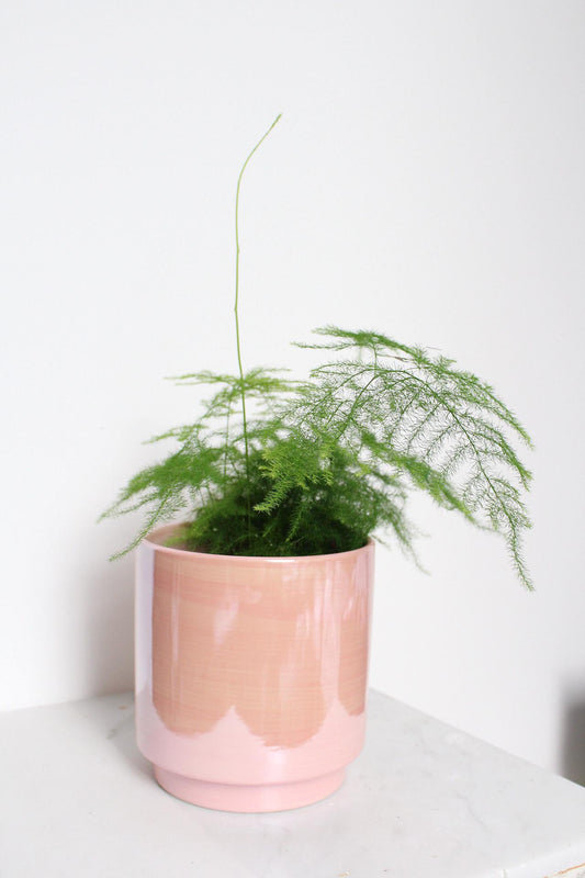 Modern Pink Pot Valentine Gift Collection Ceramic Planter Indoor Decor Bedroom Shelf Essential Large Decorative Container Contemporary Home Accent Beautiful Room Style Five Inch Design Premium Quality Construction Elegant Table Display