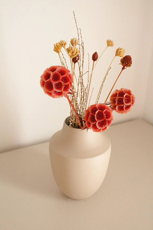 Dried Flower Bouquet with Coral Scabiosa and Yellow Daisy – Floral Arrangement