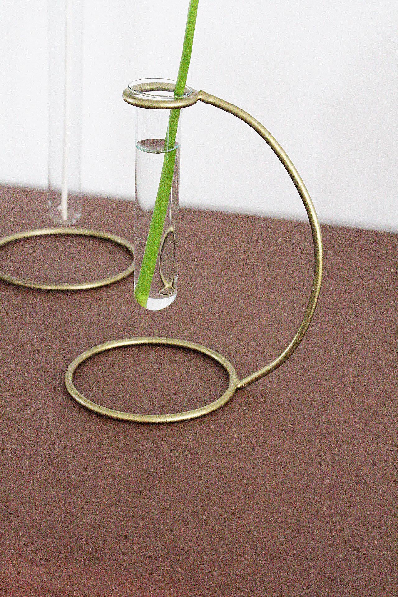 Propagation Tube Clear Glass Vase Removable Brass Stand Modern Home Decor Plant Lover Gift Single Flower Display Boho Minimal Wedding Centerpiece Event Decor Indoor Plant Decor