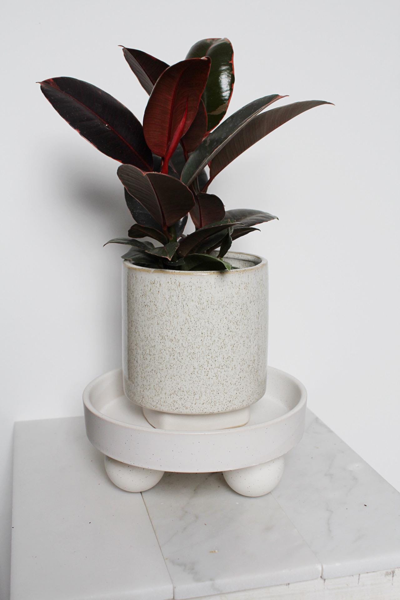 Small White Ceramic Plant Saucer – Indoor Tray Riser, Modern Decor