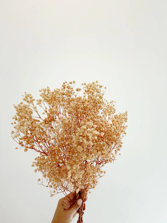 Pink Baby’s Breath – Dried Floral Arrangement