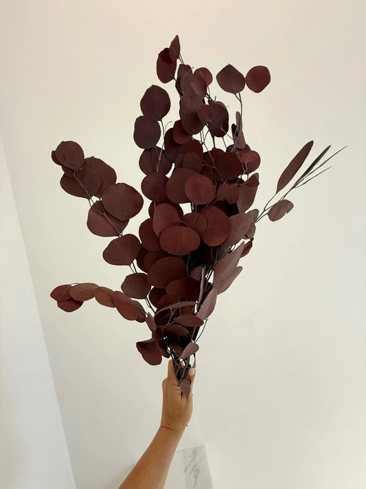 Burgundy Eucalyptus Stem – Dried Floral Arrangement