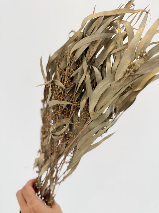 Gold Eucalyptus Stem - Dried Floral Arrangement