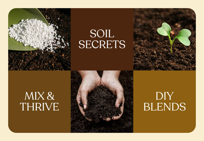 The Right Dirt for the Right Plant: A Soil Guide