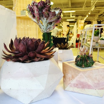 "A Guide to Preparing Your Garden for a Bountiful Fall"