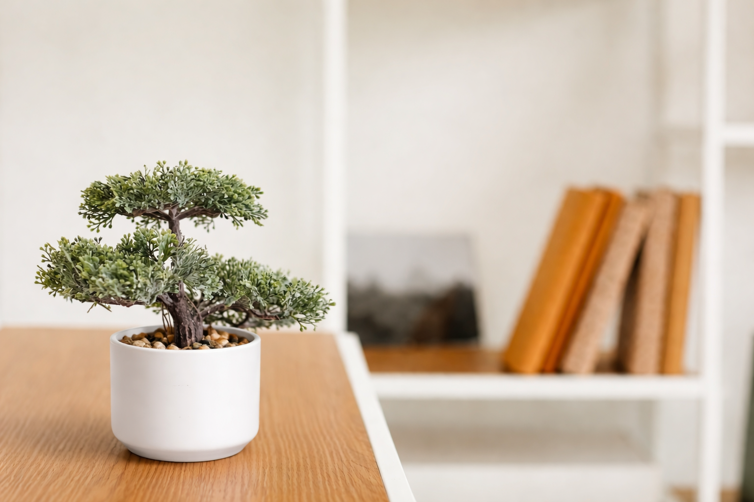 Bonsai & Mini Trees