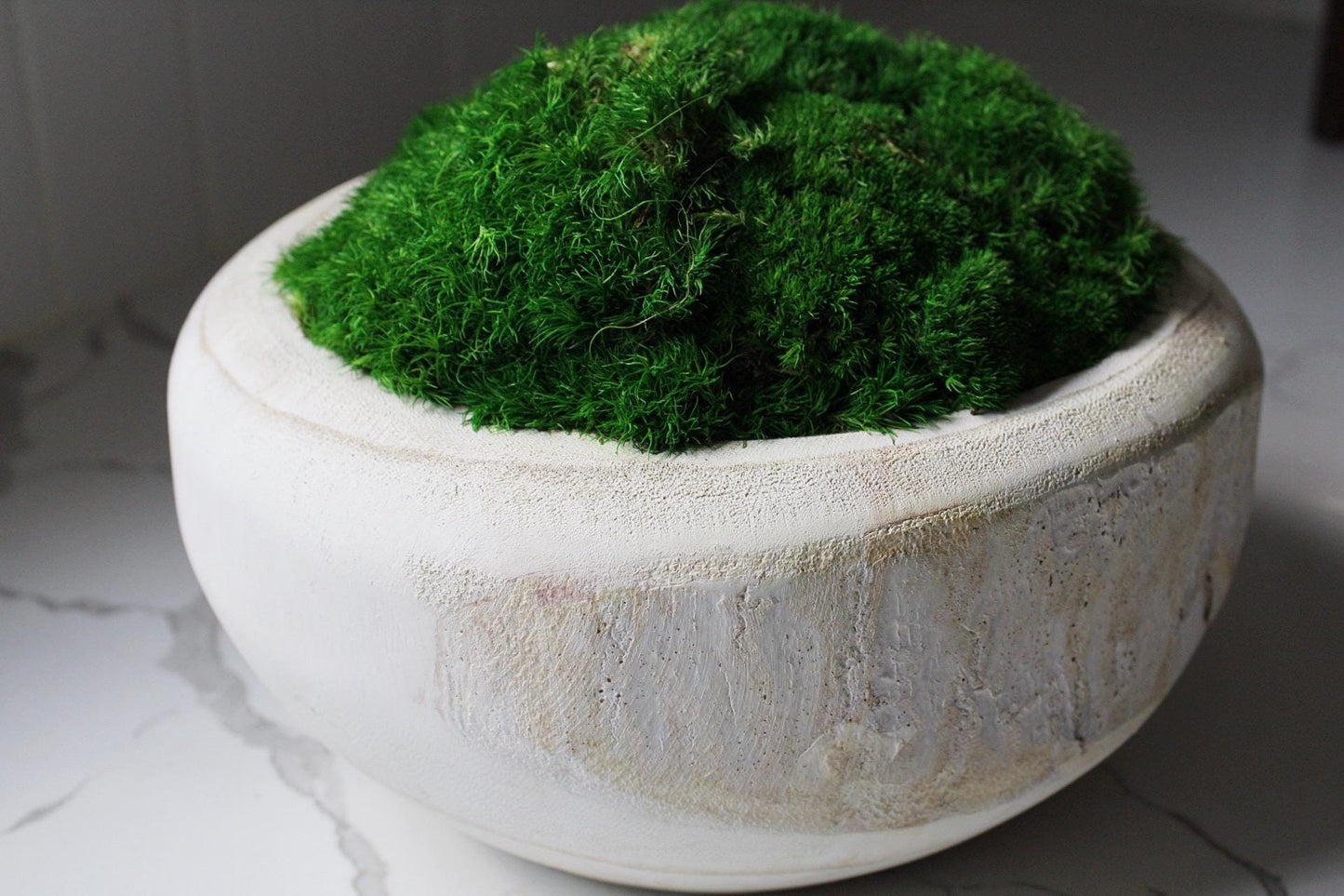 Farmhouse Style Decor Modern Moss Design Natural Wood Bowl Construction Organic Wall Art Premium Quality Piece Living Room Accent Preserved Moss Arrangement Wedding Gift Present Natural Home Accent Rustic Design Collection