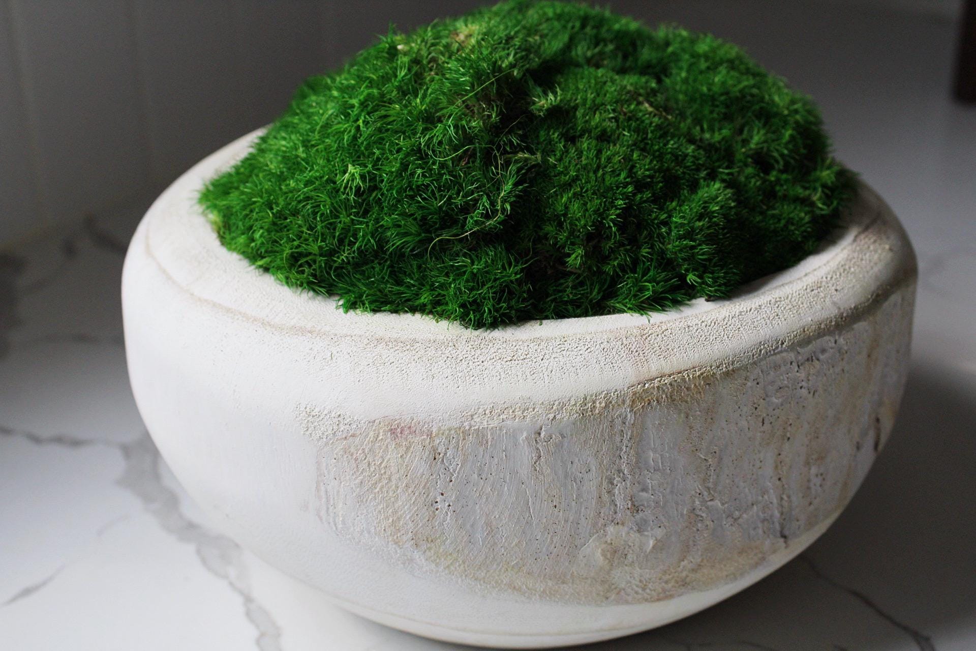 Farmhouse Style Decor Modern Moss Design Natural Wood Bowl Construction Organic Wall Art Premium Quality Piece Living Room Accent Preserved Moss Arrangement Wedding Gift Present Natural Home Accent Rustic Design Collection