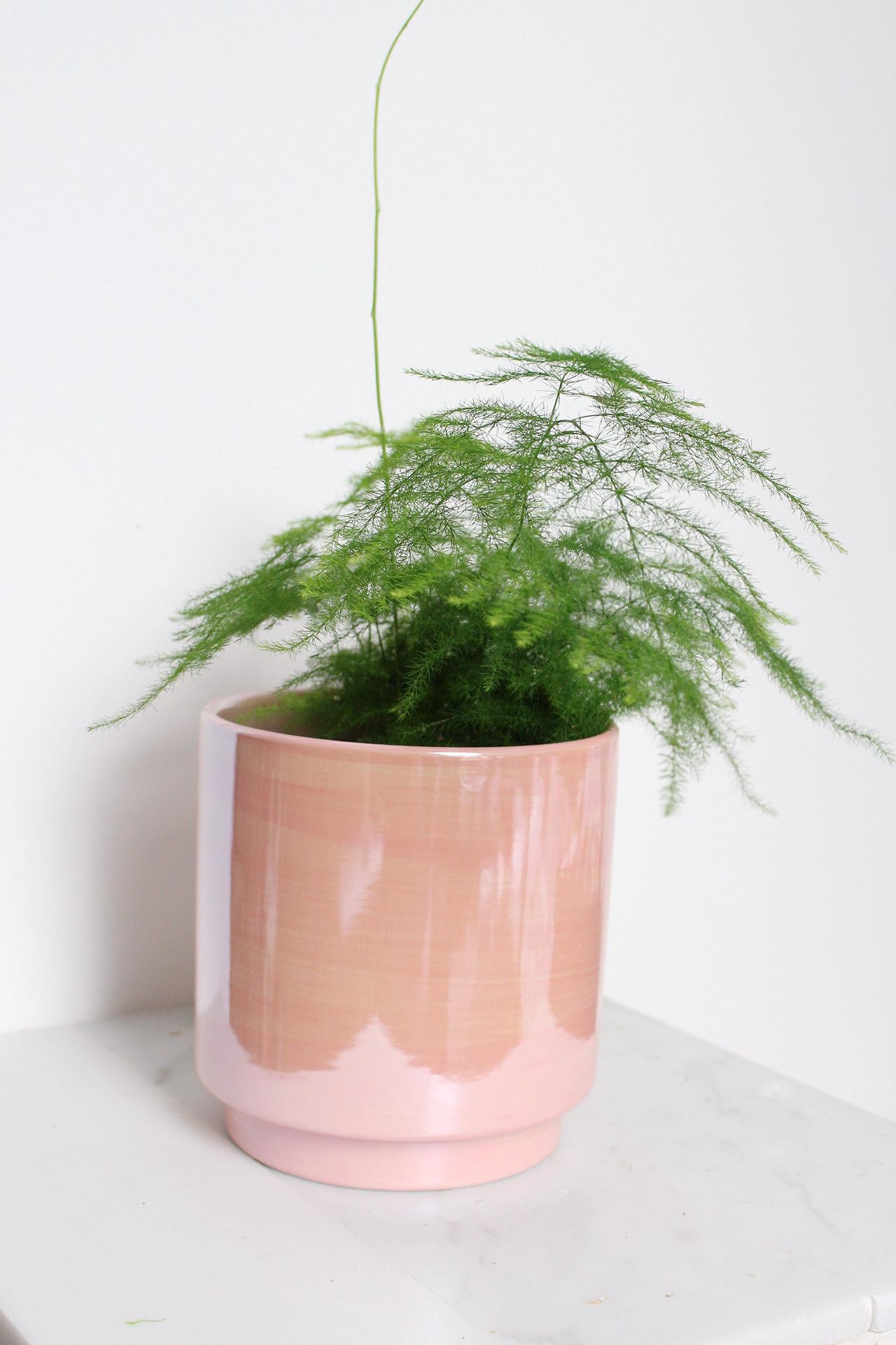 Decorative Pink Container Modern Home Collection Ceramic Planter Indoor Essential Valentine Gift Idea Beautiful Room Accent Large Table Display Contemporary Style Five Inch Design Premium Quality Construction Elegant Shelf Decor Collection