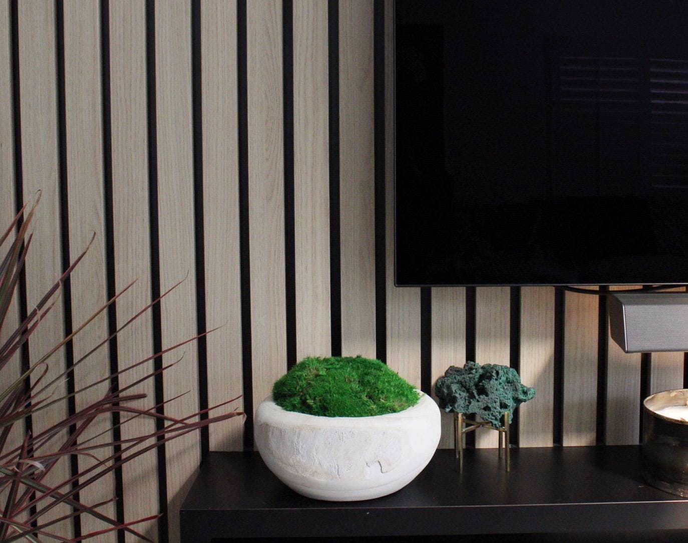 Modern Moss Decor Natural Wood Bowl Organic Home Accent Preserved Moss Design Rustic Farmhouse Style Wall Art Living Room Decoration Whitewashed Bowl Construction Premium Quality Piece Wedding Gift Present Table Centerpiece Natural Home