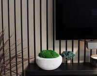 Modern Moss Decor Natural Wood Bowl Organic Home Accent Preserved Moss Design Rustic Farmhouse Style Wall Art Living Room Decoration Whitewashed Bowl Construction Premium Quality Piece Wedding Gift Present Table Centerpiece Natural Home
