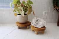 Small Plant Stand Wood Plant Stand Table Plant Stand Window Plant Stand Shelf Plant Stand 4 inch Pot 6 inch Pot Plant Riser Indoor Plant Stand Plant Lover Gift Housewarming Gift