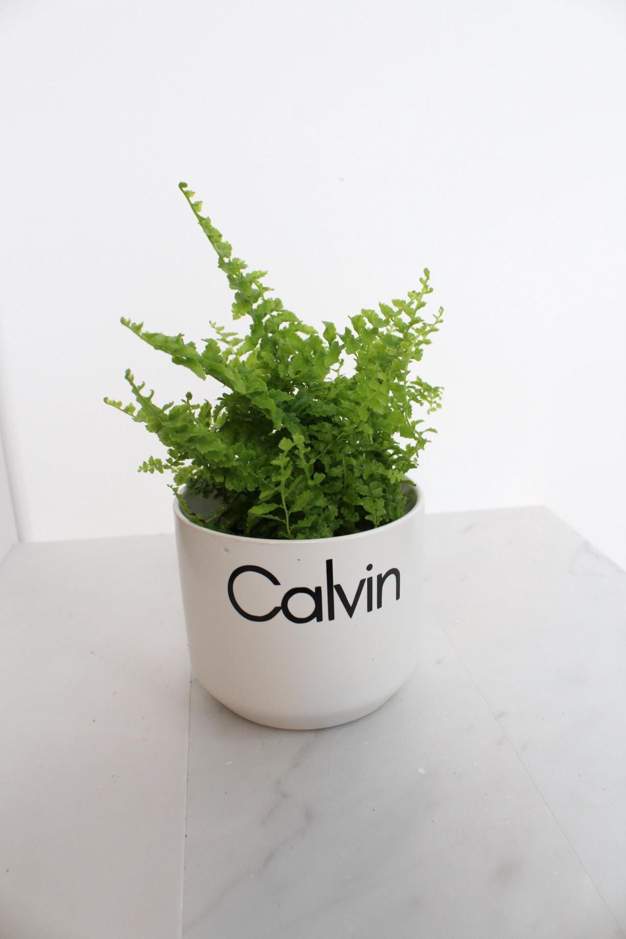 Personalized Ceramic Planter Small Plant Pot Desk Planter Succulent Pot Indoor Planter Office Decor Windowsill Planter Housewarming Gift Plant Lover Gift Birthday Gift Wedding Favor Apartment Plant Pot