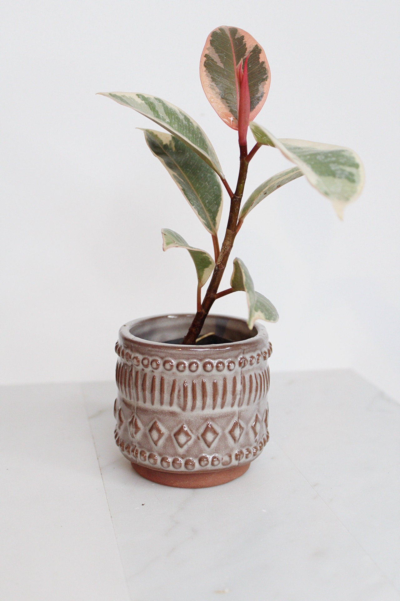 Boho Pattern Planter Pottery Neutral Brown Modern Trendy Ceramic Pot Indoor Plant Home Decor Flower Decorative Vase Wedding Elegant Style