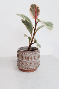 Boho Pattern Planter Pottery Neutral Brown Modern Trendy Ceramic Pot Indoor Plant Home Decor Flower Decorative Vase Wedding Elegant Style