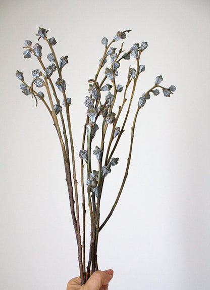 Dried Eucalyptus Branches Natural Botanical Display Long Accent Pieces Farmhouse Style Home Decor Gray White Color Wedding Arrangement Tall Vase Filler Rustic Design Statement Large Scale Display Beautiful Natural Elements Premium Quality