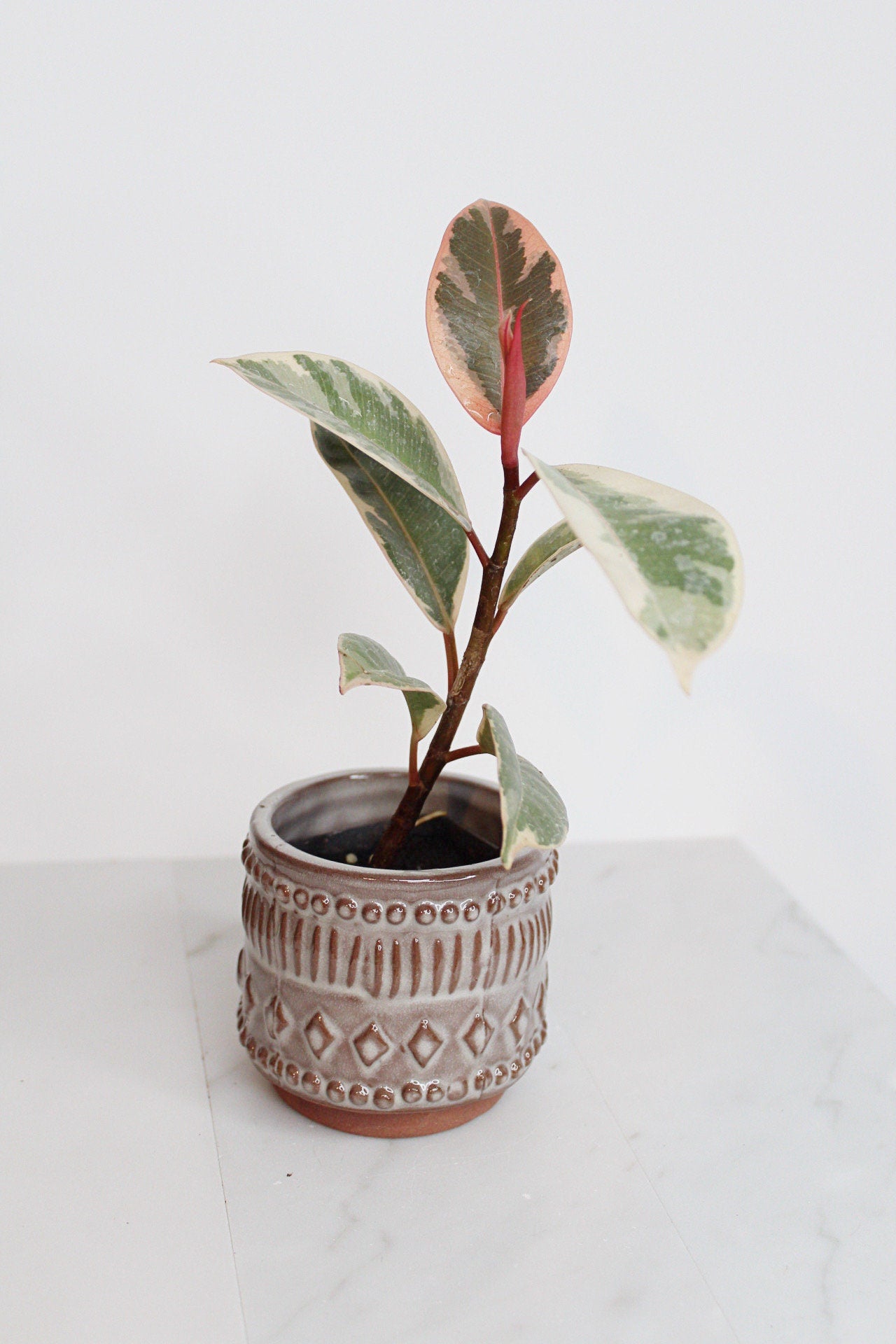 Boho Pattern Planter Pottery Neutral Brown Modern Trendy Ceramic Pot Indoor Plant Home Decor Flower Decorative Vase Wedding Elegant Style
