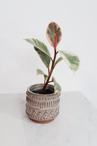 Boho Pattern Planter Pottery Neutral Brown Modern Trendy Ceramic Pot Indoor Plant Home Decor Flower Decorative Vase Wedding Elegant Style