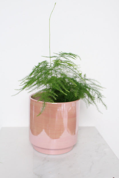 Decorative Pink Container Modern Home Collection Ceramic Planter Indoor Essential Valentine Gift Idea Beautiful Room Accent Large Table Display Contemporary Style Five Inch Design Premium Quality Construction Elegant Shelf Decor Collection