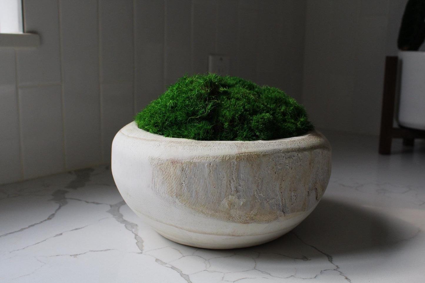 Natural Home Accent Modern Moss Design Rustic Wood Bowl Construction Organic Wall Art Farmhouse Style Living Room Decor Premium Quality Piece Preserved Moss Arrangement Wedding Gift Present Table Centerpiece Modern Design