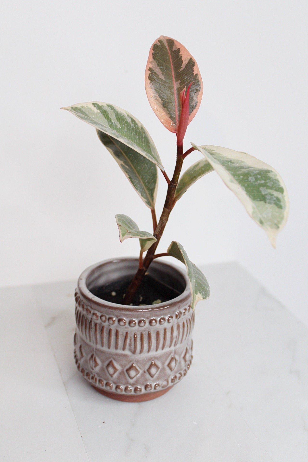 Boho Pattern Planter Pottery Neutral Brown Modern Trendy Ceramic Pot Indoor Plant Home Decor Flower Decorative Vase Wedding Elegant Style