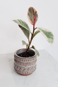 Boho Pattern Planter Pottery Neutral Brown Modern Trendy Ceramic Pot Indoor Plant Home Decor Flower Decorative Vase Wedding Elegant Style