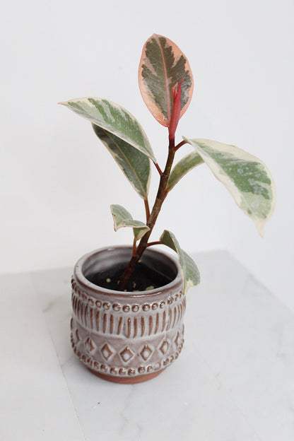 Boho Pattern Planter Pottery Neutral Brown Modern Trendy Ceramic Pot Indoor Plant Home Decor Flower Decorative Vase Wedding Elegant Style