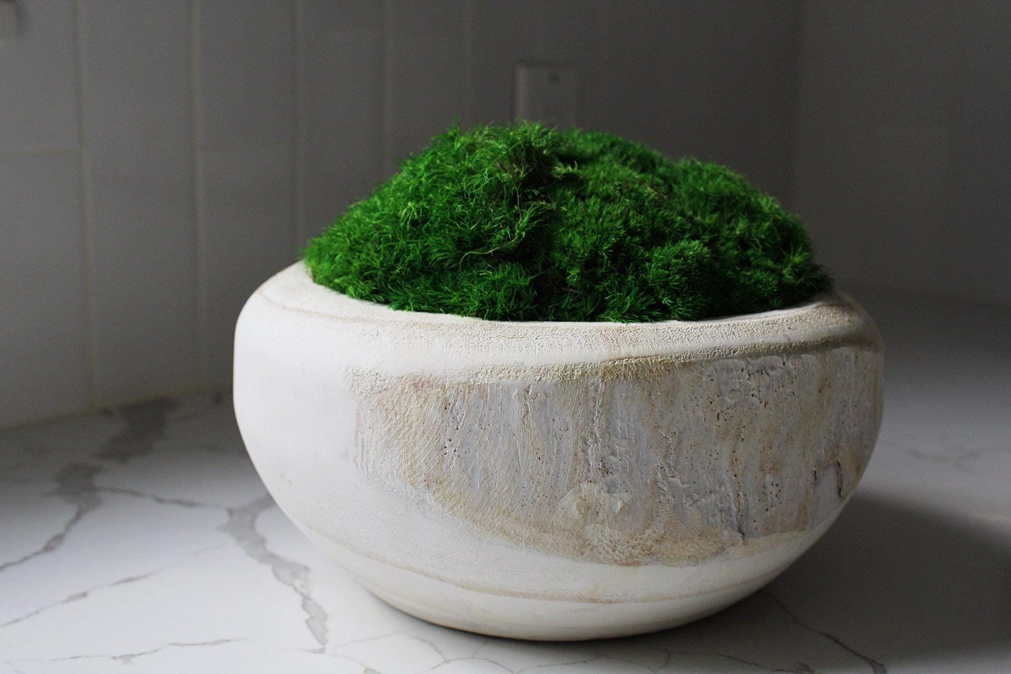 Organic Wall Art Modern Moss Design Natural Wood Bowl Construction Rustic Style Decor Premium Quality Piece Preserved Moss Arrangement Wedding Gift Present Living Room Accent Farmhouse Design Collection Natural Home Accent