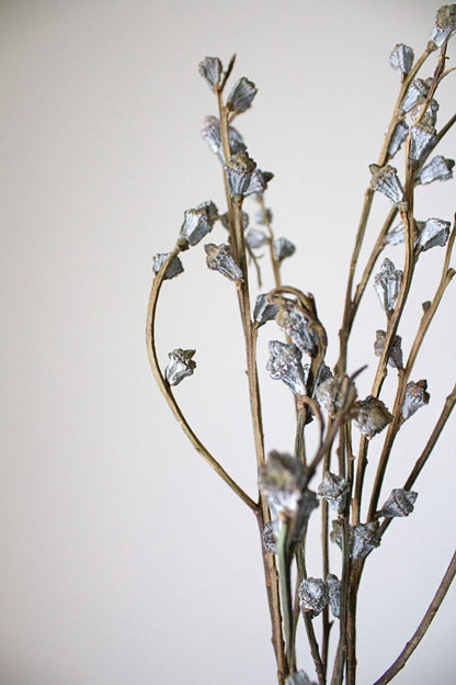 Dried Eucalyptus Branches Natural Botanical Display Long Accent Pieces Farmhouse Style Home Decor Gray White Color Wedding Arrangement Tall Vase Filler Rustic Design Statement Large Scale Display Beautiful Natural Elements Premium Quality