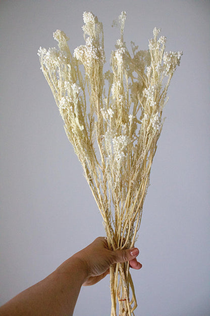 Boho Ceramic Vase - White Rustic Decor for Home & Dried Flowers