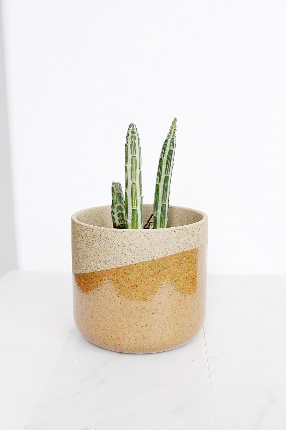 Marabella Pot Small