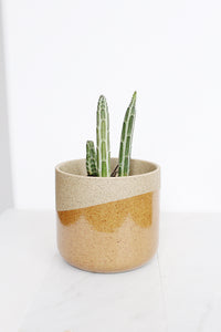Marabella Pot Small