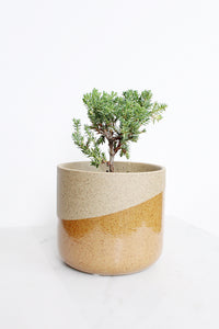 Marabella Pot Small