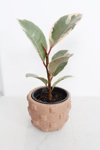 Ticul Pot Small