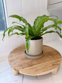 Brown Ceramic Pot with Saucer