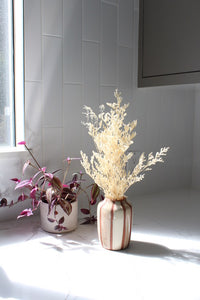 Striped Mollino Bud Vase – Minimalist Vase