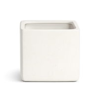 Haus Cube Pot