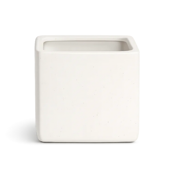 Haus Cube Pot