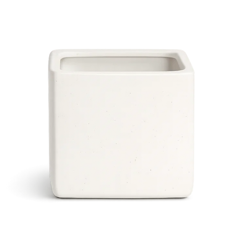 Haus Cube Pot