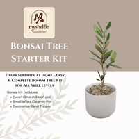 Little Ollie Bonsai Gift Set