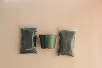 Starter Plant Repotting Kit – 4" Pot with Organic Soil
