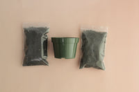 Starter Plant Repotting Kit – 4" Pot with Organic Soil