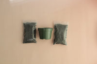Starter Plant Repotting Kit – 4" Pot with Organic Soil