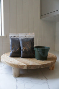 Starter Plant Repotting Kit – 4" Pot with Organic Soil