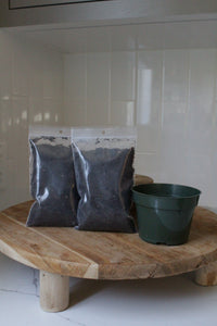 Starter Plant Repotting Kit – 4" Pot with Organic Soil