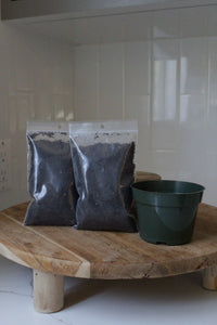 Starter Plant Repotting Kit – 4" Pot with Organic Soil