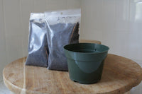 Starter Plant Repotting Kit – 4" Pot with Organic Soil