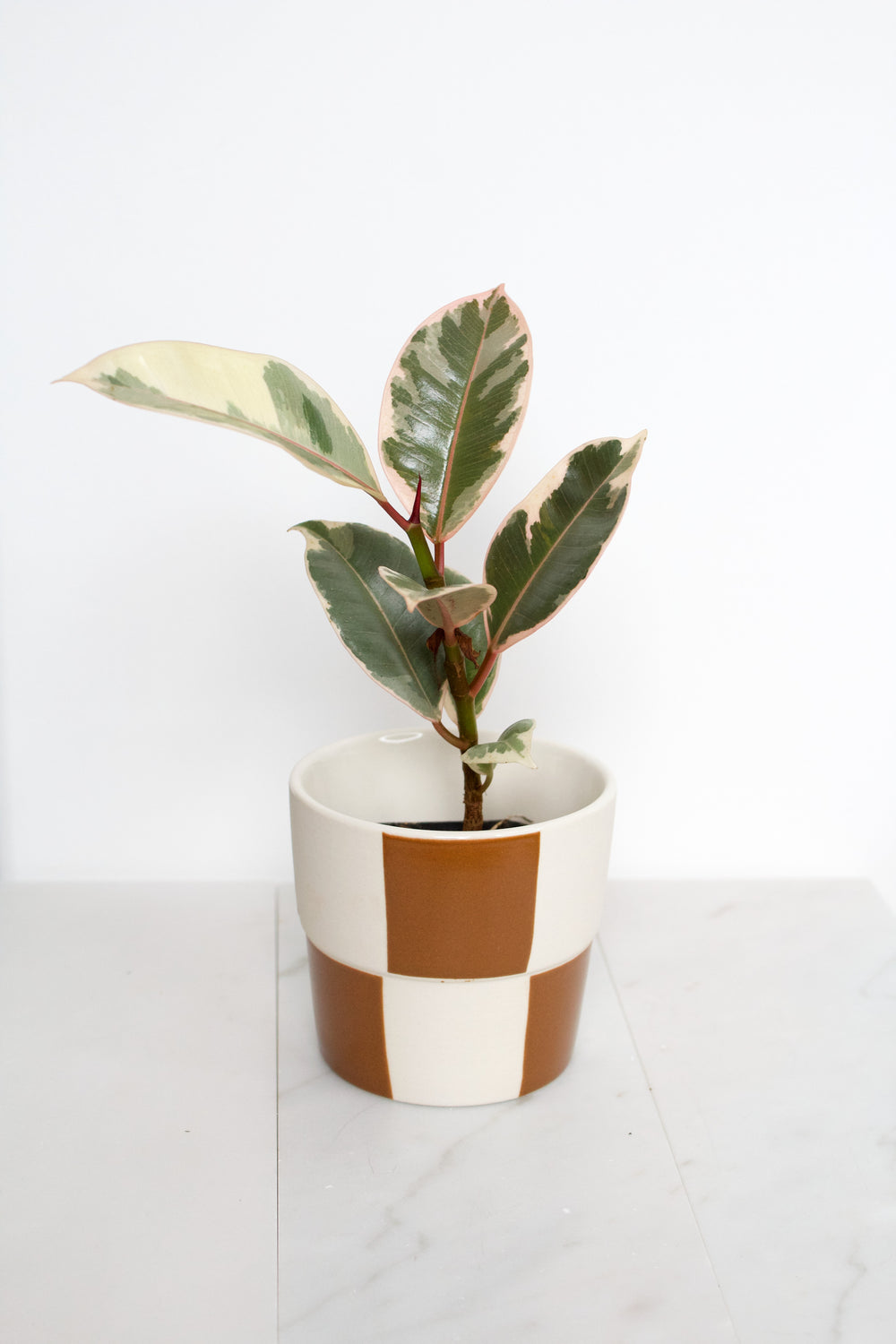 Checkerboard Pot