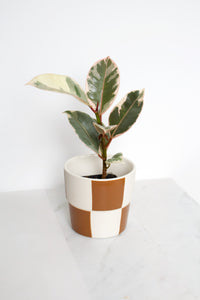 Checkerboard Pot